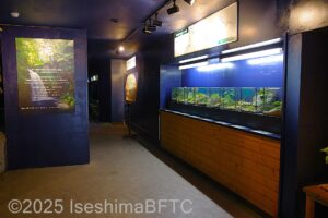 渓流の両生類のコーナーのようす