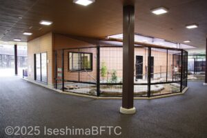 「おいないゾーン」のようす
