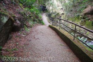 遊歩道のようす。道は細く、急な坂道が見える。