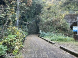 道瀬歩道トンネルへ向かう道のようす