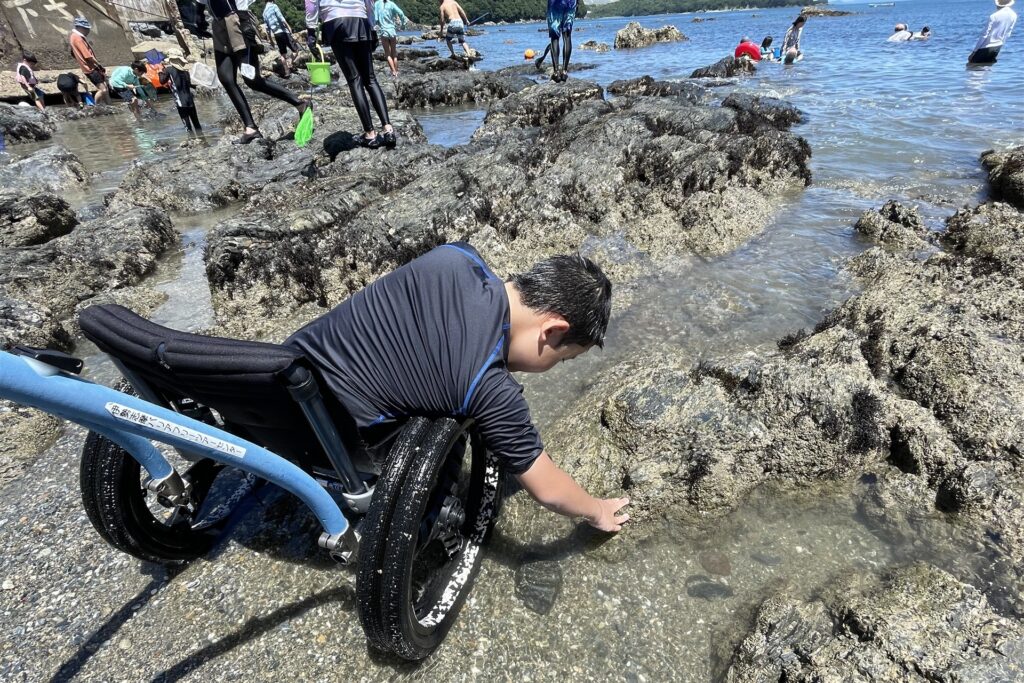 波打ち際の岩場で海の車いすを使って生き物探しをしているようす