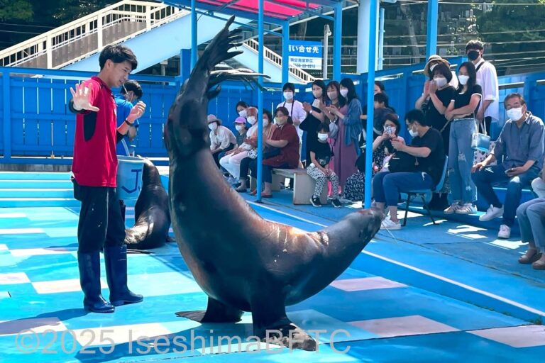 アシカショーを見る来場者