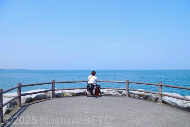突堤の先端で海を眺める車いす使用者