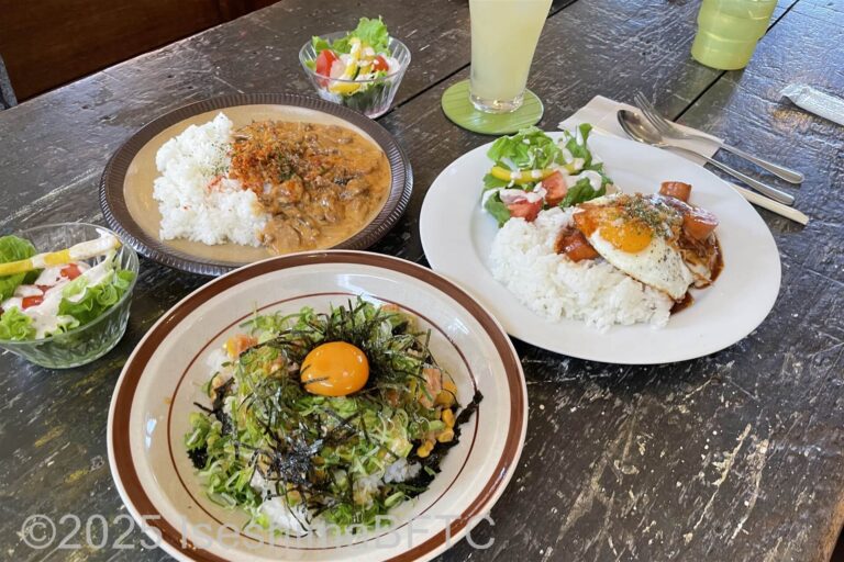 テーブルに並ぶミニサラダ2皿とご飯もののメニュー3品