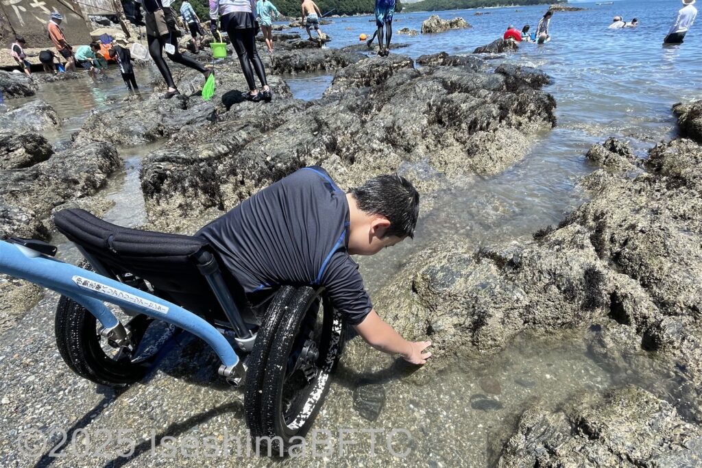 ヒッポキャンプに乗って海岸で
遊ぶ子供