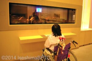 展示例。車いすの女性がジオラマを眺めているようす。