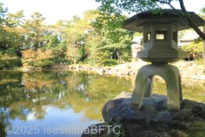 庭にしつらえた池のようす。右手手前には石灯籠が見える。