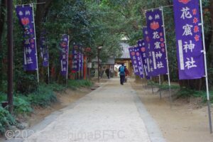 花の窟参道のようす。左右には紫色ののぼりが立ち並んでいる。