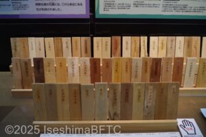 東紀州の木のサンプル。木札のような形で木の種類がテプラで貼ってある。
全部で40種類ぐらいある。
