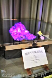 大きな蛍石が紫色に発光しているようす。