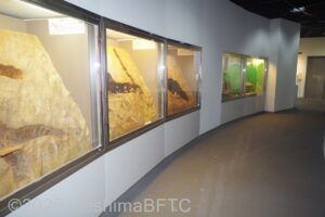 廊下の壁の中に仕込まれたジオラマ。部屋がいくつかに分かれていて、時代ごとの採掘のようすが再現されている。
