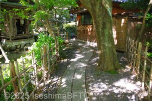 庭園の中の小道