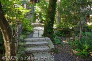 坂の途中の階段