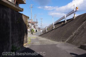 裏の駐車場から宿への坂道