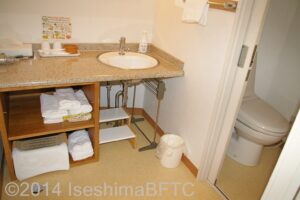 トイレ・洗面所の一例。左側に洗面、右側にトイレ