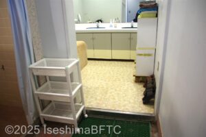 ワンちゃん用シャワールーム　洗面所入口