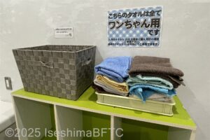 ワンちゃん用シャワールーム　ワンちゃん用タオル