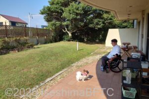 テラスドッグランで遊ぶ愛犬を見守る車いす使用者