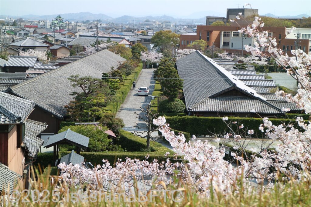 御城番屋敷を高台からみたようす。左右に屋敷の屋根が並んでいる。桜の季節