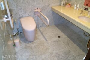 入って正面に、たて置きに便器