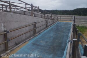 スロープの斜面から見たようす。スロープはコンクリート製で、左右に手すりが付いている。