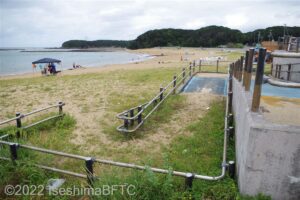 スロープの下の方は浜の砂が吹き込んできているためか、草が生えているようす。