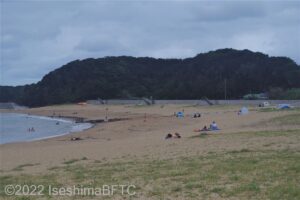 砂浜のようす。夏場なので海水浴を楽しむ人たちが小さく見える。