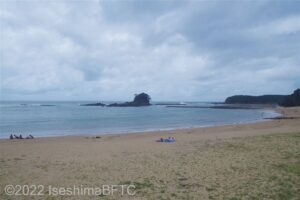浜の右側の沖合にちょこんと浮かぶ小さな「すずめ島」のようす。人が上陸できないほどの本当に小さな島が見える。