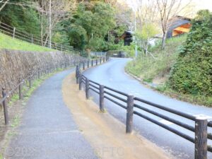 オートキャンプ場への坂道