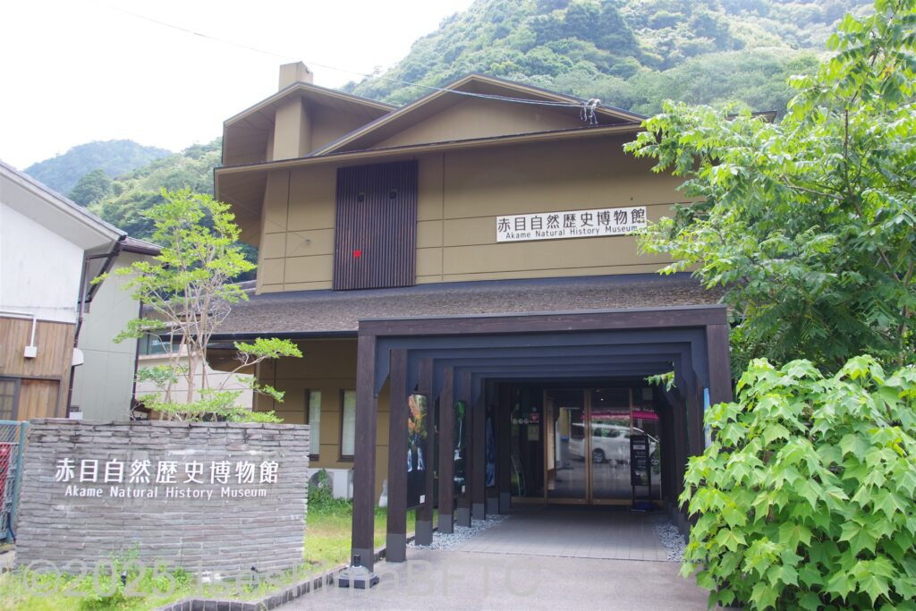 建物の外観。色は茶色。