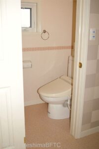 キャビン内のトイレのようす。一般の洋式トイレの広さ。手すりは付いていない。