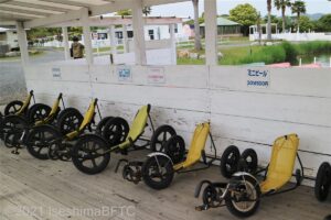 レンタル用バイク。三輪車になっていて、黄色の座席は、かなり低い。寝そべったような体制で操作する。