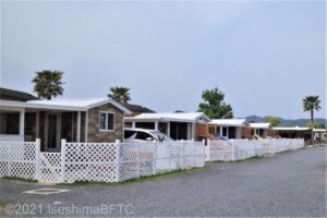 ヤシの木やキャビンが並ぶようす。アメリカのキャンプ場のような雰囲気。