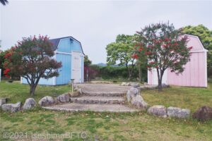 テントサイト用の共用トイレ。左に水色の男子トイレ、右側にピンクの女子トイレが見える。