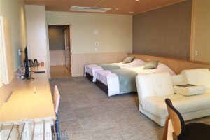 窓側から見た客室のようす。グレーの絨毯が敷いてある。