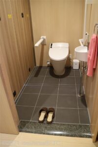 客室のトイレのようす。便器に向かって右側の壁にL字手すり、右側にI字の可動式手すりが付いている。