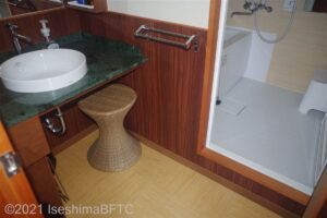 洗面所のカウンターのようす。白く丸い洗面ボールがついている。右手には浴室への入口が見える。