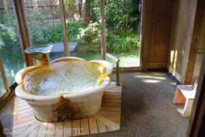 引戸下の段差を浴室側から見たところ。