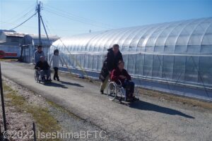 介助を受けながらハウスに向かう車いす使用者の二人。