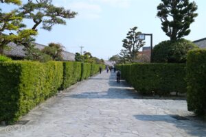 石垣の道の左右に生垣が並んでいるようす