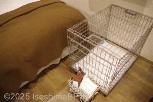 犬用のケージ