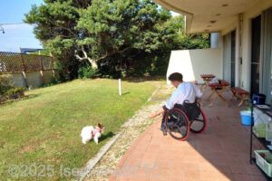 テラスドッグランで愛犬と遊ぶ車いすの男性