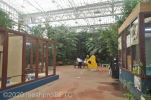 トロピカル広場
