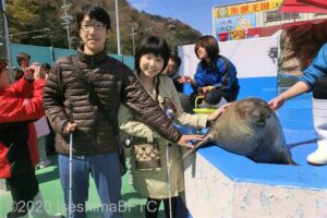 ゴマフアザラシにタッチする白杖使用の視覚障害者