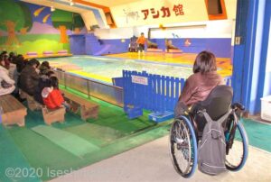 アシカショーを見る車いす使用者