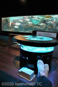 海底ごろりんホールの回遊水槽とテーブル型水槽