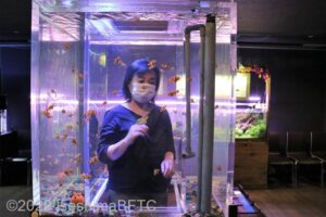 クマノミ水槽の中に入る女性