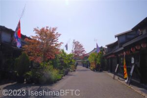 昔ながらの建物が並ぶようす