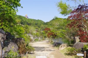 池周辺の遊歩道のようす1