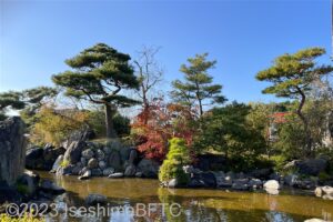 中央の池と、その奥の木々
